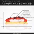 サイズ 3