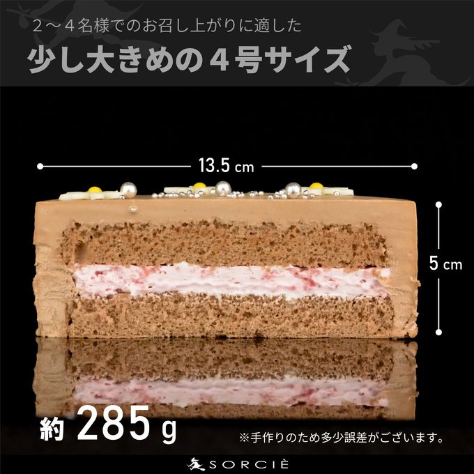 センイルケーキチョコサイズ 5