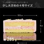 センイルケーキピンク＿サイズ 5