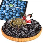 ブルーベリータルト6号 1