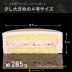 デコるだケーキピンクサイズ 7