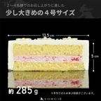 センイルケーキホワイト_サイズ 5