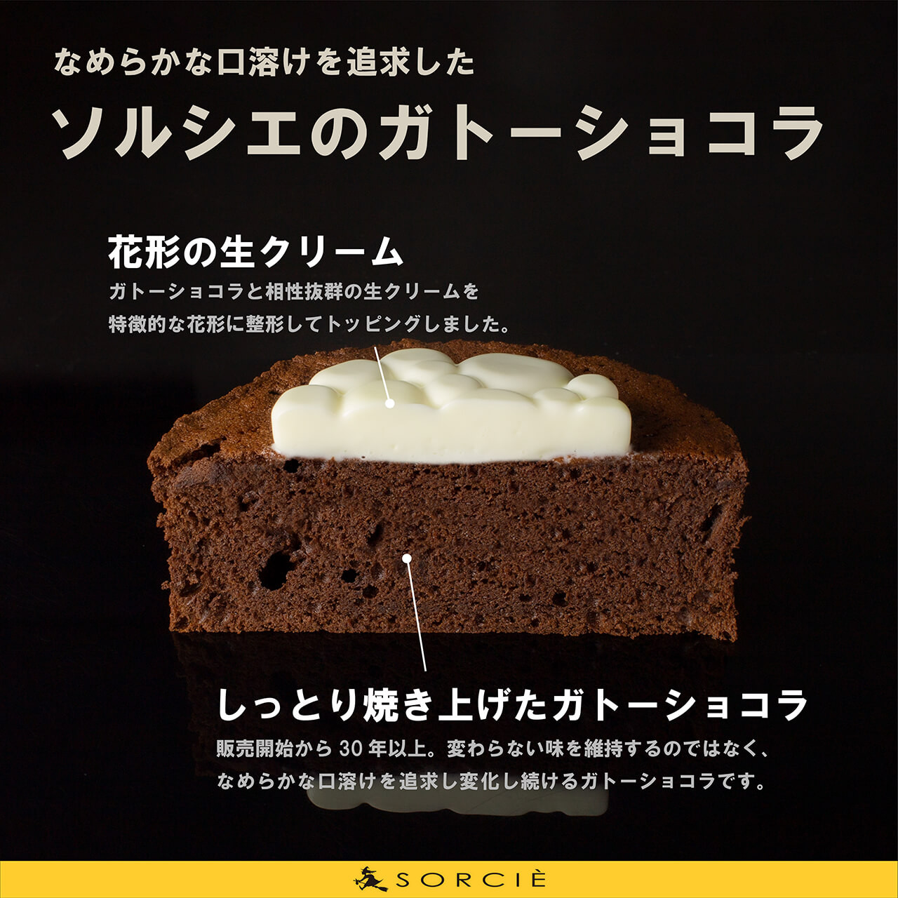 チョコレートケーキ ガトーショコラ クラシック 4号 直径11.5cm 2人～4