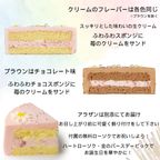 センイルケーキ＿サンドの紹介 8