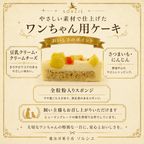 断面 3