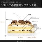 断面解説 5