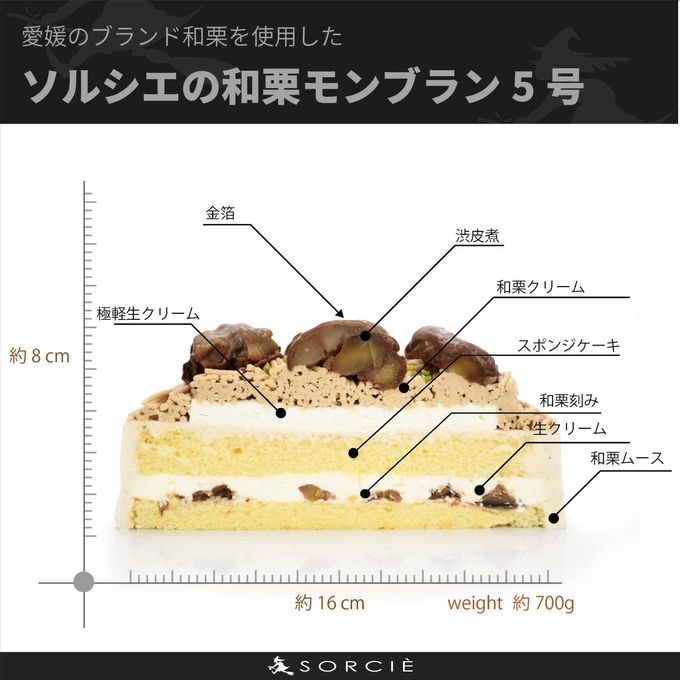 断面解説 5