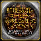 【送料550円】必ず出荷当日に自家熟成焙煎するコーヒー豆 ブラジルNO.2 ハイロースト 750g 3