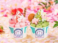 「おうちDEロールアイス」お花見セット  1