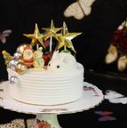 《送料無料》クリスマスケーキ2022数量限定 5号 15cm 2