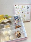 焼き菓子ギフト 1