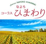 コーラスなよろひまわり １０個入 2