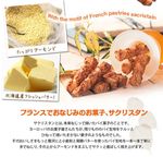 どんぐりの木 1個 3