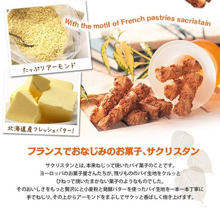 どんぐりの木 1個 3