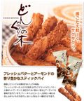 どんぐりの木 1個 2