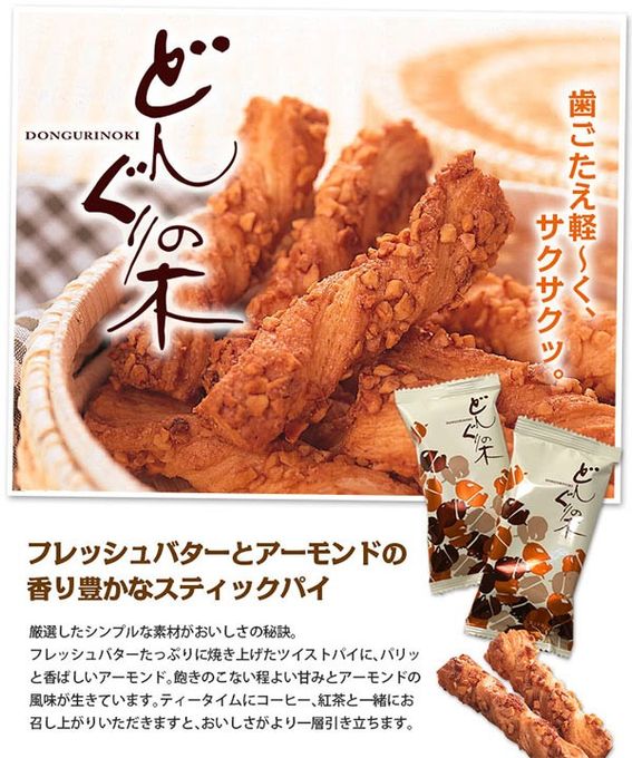 どんぐりの木 1個 2