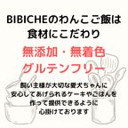 《期間限定》《犬用》クリスマスケーキ 小 6