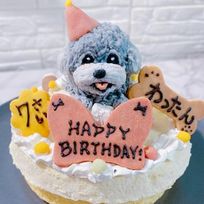 《犬用》うちの子ケーキ レアチーズ