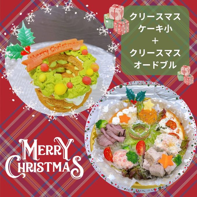 《ネット販売限定》《犬用》クリスマスケーキ小＋クリスマスオードブルセット 1