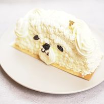 《韓国で話題沸騰中！》可愛いわんちゃん ハーフケーキをお届け♪