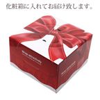 沖縄産の贅沢マンゴーホールクリスマスケーキ 5号  9