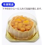 沖縄産の贅沢マンゴーホールクリスマスケーキ 5号  5