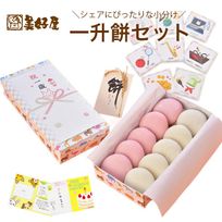  一升餅 お誕生餅セット(小分け、あん無し１0個)