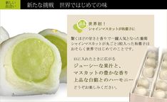 葡萄まるごと一粒入ったフルーツ大福【雪みどり】10個入※9/6以降のお届け 5