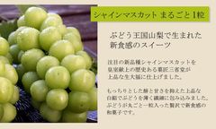 葡萄まるごと一粒入ったフルーツ大福【雪みどり】10個入※9/6以降のお届け 3