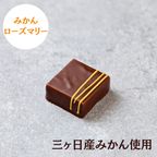 みかん＆ローズマリー 7