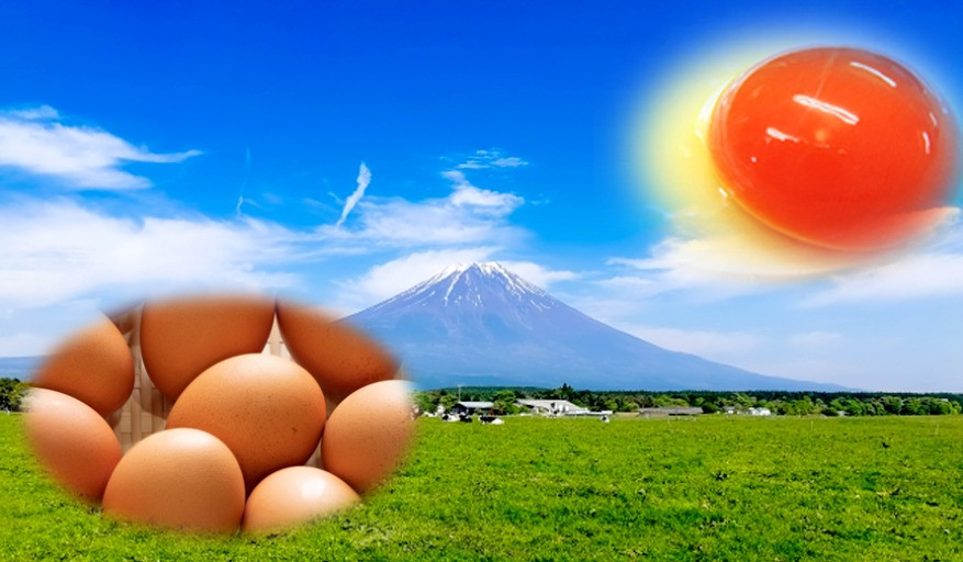 こだわりの富士山麗あさぎり高原の卵をふんだんに使用 2