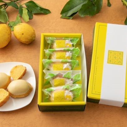大人のレモンケーキ 5個入り （ベルジェ・ダルカディ弁慶堂） | Cake.jp