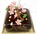 花のチョコレートケーキ 5号 2