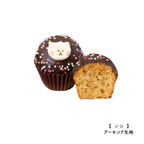【ファクトリーシン】ねこカップケーキ 6個入 9