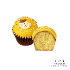 【ファクトリーシン】ねこカップケーキ 6個入 7