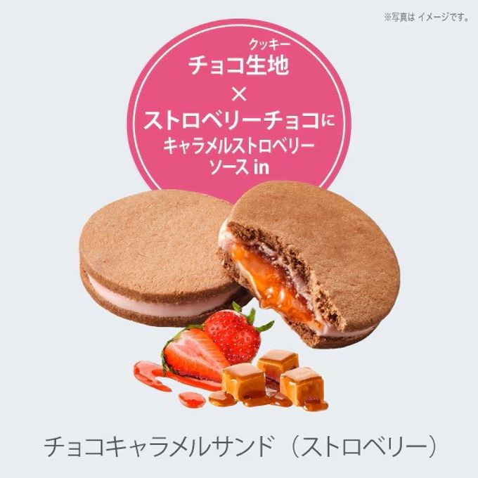 【ファクトリーシン】森のスイーツ工房セレクト（5個入） 6