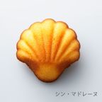 【ファクトリーシン】森のスイーツ工房 セレクト（24個入） 5