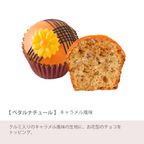【ファクトリーシン】スウィートカップケーキ 6個入  7