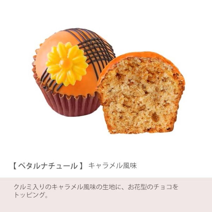【ファクトリーシン】スウィートカップケーキ 6個入  7