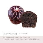 【ファクトリーシン】スウィートカップケーキ 12個入  6