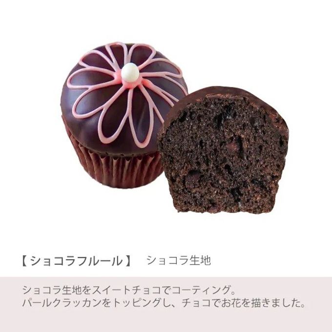 【ファクトリーシン】スウィートカップケーキ 12個入  6
