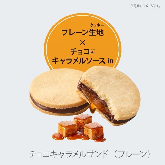 【ファクトリーシン】森のスイーツ工房セレクト（5個入） 5