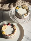 Vegan & Raw クリスマスケーキ ブルーベリーヨーグルト × ホワイトチョコレート 4号《ヴィーガンスイーツ・ヴィーガンケーキ》 2