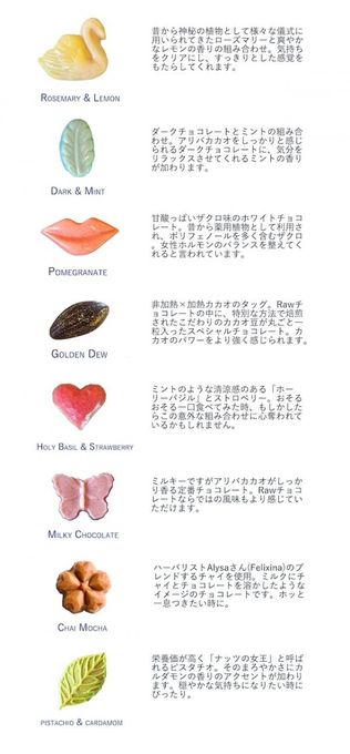 マジカルRawチョコレートボックス （L：８つ入り）《ヴィーガンスイーツ》 4