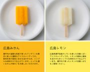 【東屋】手作りアイスキャンディ 14本セット 5