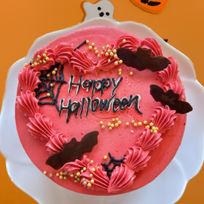 MAPRIL ハロウィンケーキ【スパイダー】ハロウィン2025