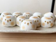 改めまして。初恋すずめです! 3