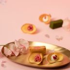 【KINEEL】 Gift Box M（Spring） / 人気の焼菓子詰合せ 季節限定  8