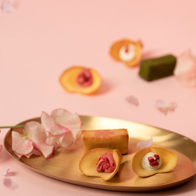 【KINEEL】 Gift Box M（Spring） / 人気の焼菓子詰合せ 季節限定  8