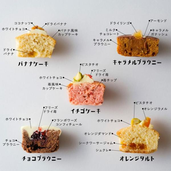 【KINEEL】姫ガトー（9個入） / 可愛いプチケーキセット（焼菓子9個セット） 京都からお届け♪彩り豊かなミニガトー 7
